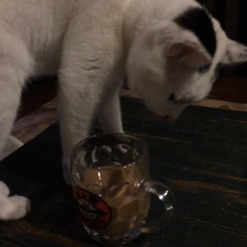 くしゃい、くしゃいの画像