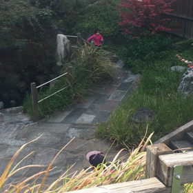 走るようになりましたよね٩( 'ω' )وの画像