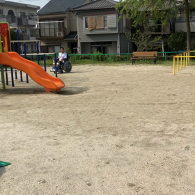 自宅近くの公園に散歩に行きましたの画像