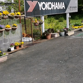 気づかれないように…の画像