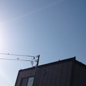 すずめちゃん familyの画像