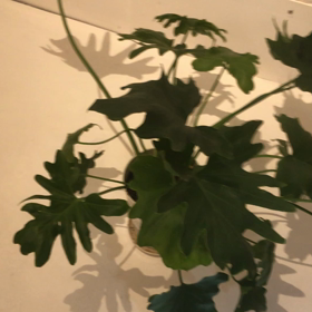 基本的な事の画像