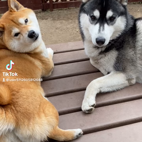 心に従って動くの画像