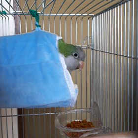 固まった♪の画像