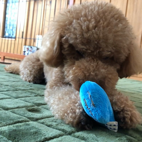 前の元号が変わった時を思い出すの画像