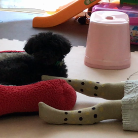 たんたん、なんてこと〜〜の画像