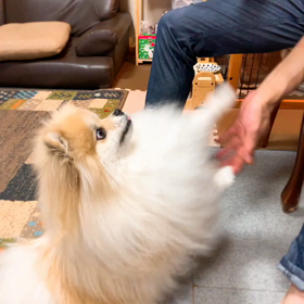 6月からのスタート。の画像