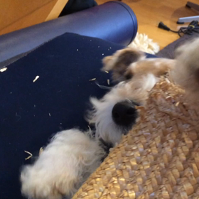 ひっくり返ってもの画像