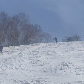 ラストかな②の画像