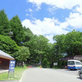 尾瀬沼散策の旅の画像