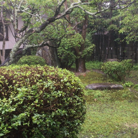 男梅雨来るの画像