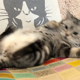 今のペチャさんです。の画像