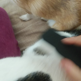 今日は祝日だったのかの画像