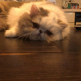 最悪な事態に‼️…>_<…の画像