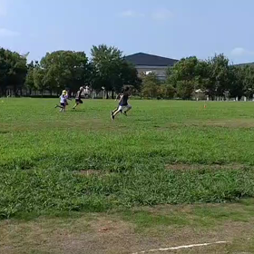 8/20 短距離練習④の画像