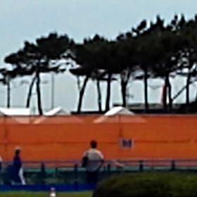 エアーレース幕張だぜよ？本番の画像