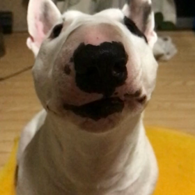 運命の赤い糸の引き寄せ&恋を実らせる引き寄せ。の画像