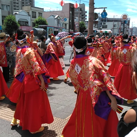 よさこい本祭！の画像