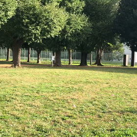 航空公園練習1000m １組目⑧の画像