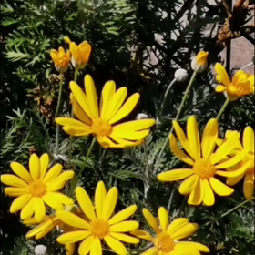 秋ですねぇ～2022/10/02の画像