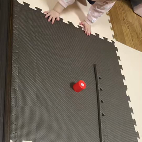 お久しぶりの画像