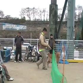 動画わんさか。の画像