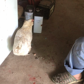 ジェシカ　健康お婆ちゃんの画像