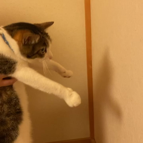 出来るかな？？の画像