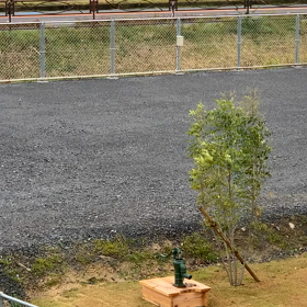 野洲川沖の4mの時の動画！の画像