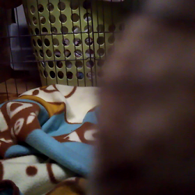 試しに…。の画像