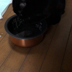 手で水をすくってのみますの画像