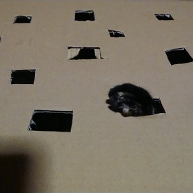 穴開けただけ(笑)の画像