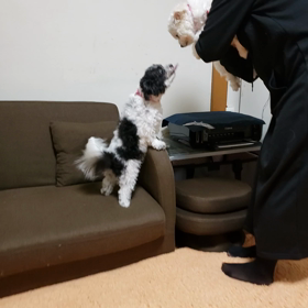 タイヤ交換の画像