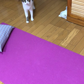 両親を施設へ… そうでしょ…代車あるよね。デールちゃんのお話し！の画像