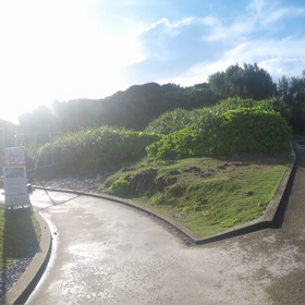 早朝ダイブ♪の画像