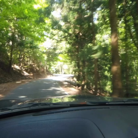 船窪つつじ公園へ　の画像