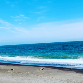 海は広いな〜の画像