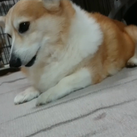 くっついた～！！の画像