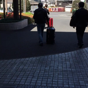 またまたの画像