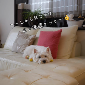 こうざぶろうのお留守番の画像