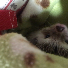 夜型生活の画像