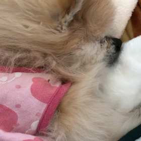 意識無くなったの画像