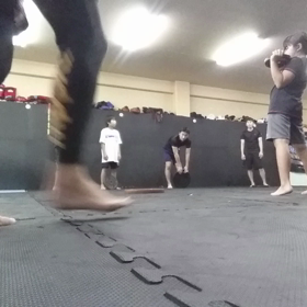 トレーニング再開の画像