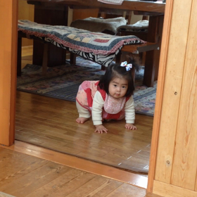 さよならハイハイ…の画像