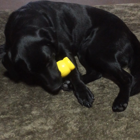 おはようございますの画像