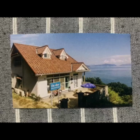 今日からの画像