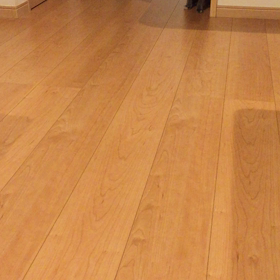 キャッチ？の画像