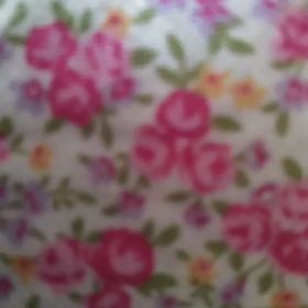 とーたぁーんの画像