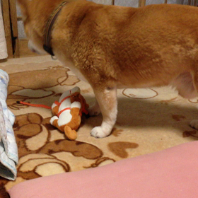 友情出演の画像