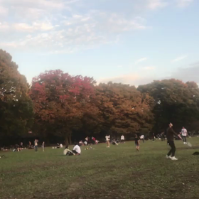 ♪お散歩動画♪代々木公園♪の画像